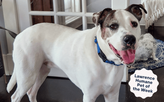  Who’s a good boy? Big-hearted Axel is the best boy